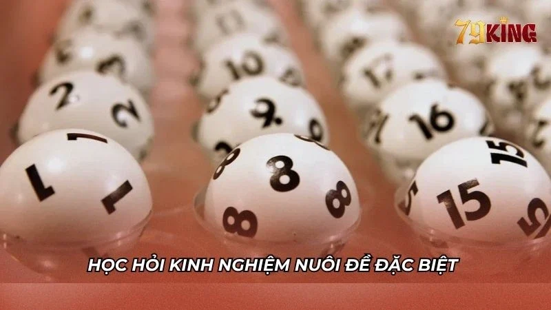 Học hỏi kinh nghiệm chơi lô đặc biệt của cao thủ