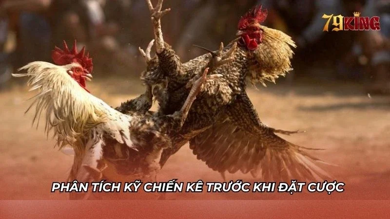 Kỹ năng phân tích chiến kê trước khi cược sảnh AOG