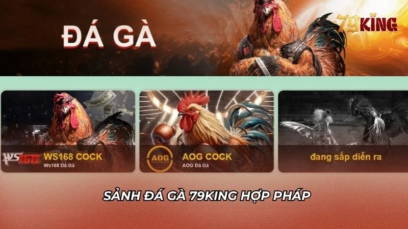 Sảnh đá gà hợp pháp và được chiến kê đánh giá cao